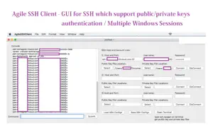 Agile SSH Client - GUI for SSH which support public/private keys authentication and multiple windows sessions