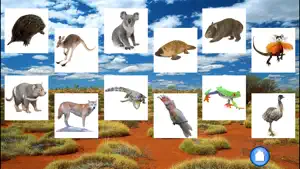澳大利亚的动物